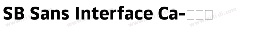 SB Sans Interface Ca字体转换 SB Sans Interface Ca字体转换